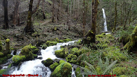 Oregon Dry Creek WaterFalls