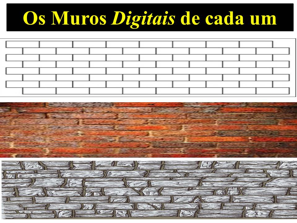 Administração no Blog: Os Muros Digitais de cada um