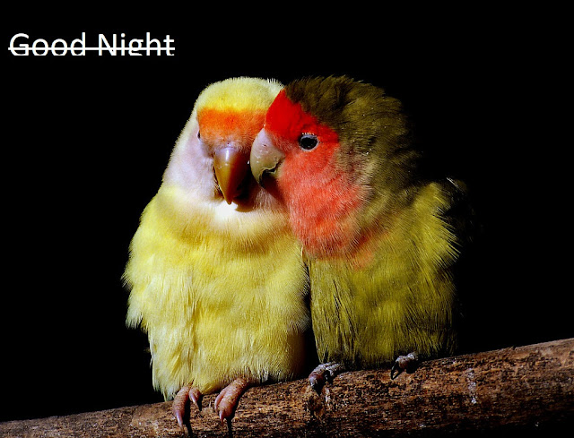 Good-night-images-with-love-good-night-images-love Good night images love, whatsapp good night images, download good night hd love images