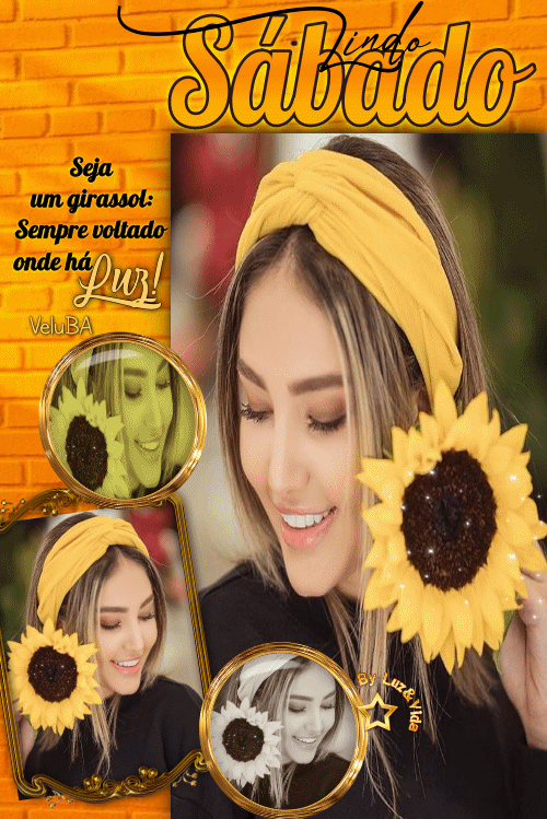 129NOVO-%2528MB%2529mariluz.gif