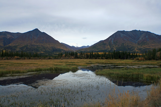 WRANGELL - ST. ELIAS NATIONAL PARK - LA ULTIMA FRONTERA. CRONICAS DE ALASKA (3)