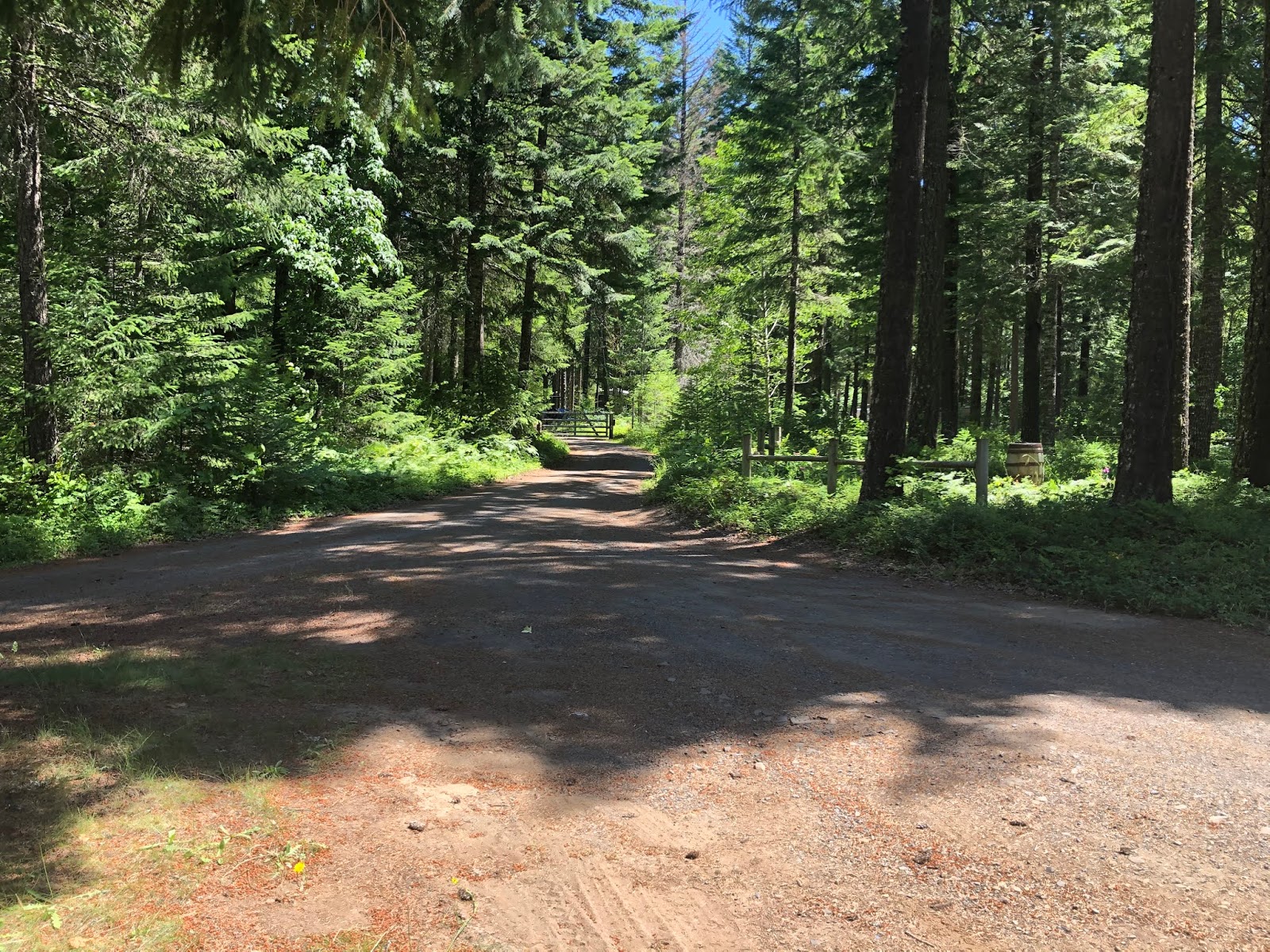 Freedom Folly 7/4/20 Zoe and Gabe's New Home Cedar Flats Road