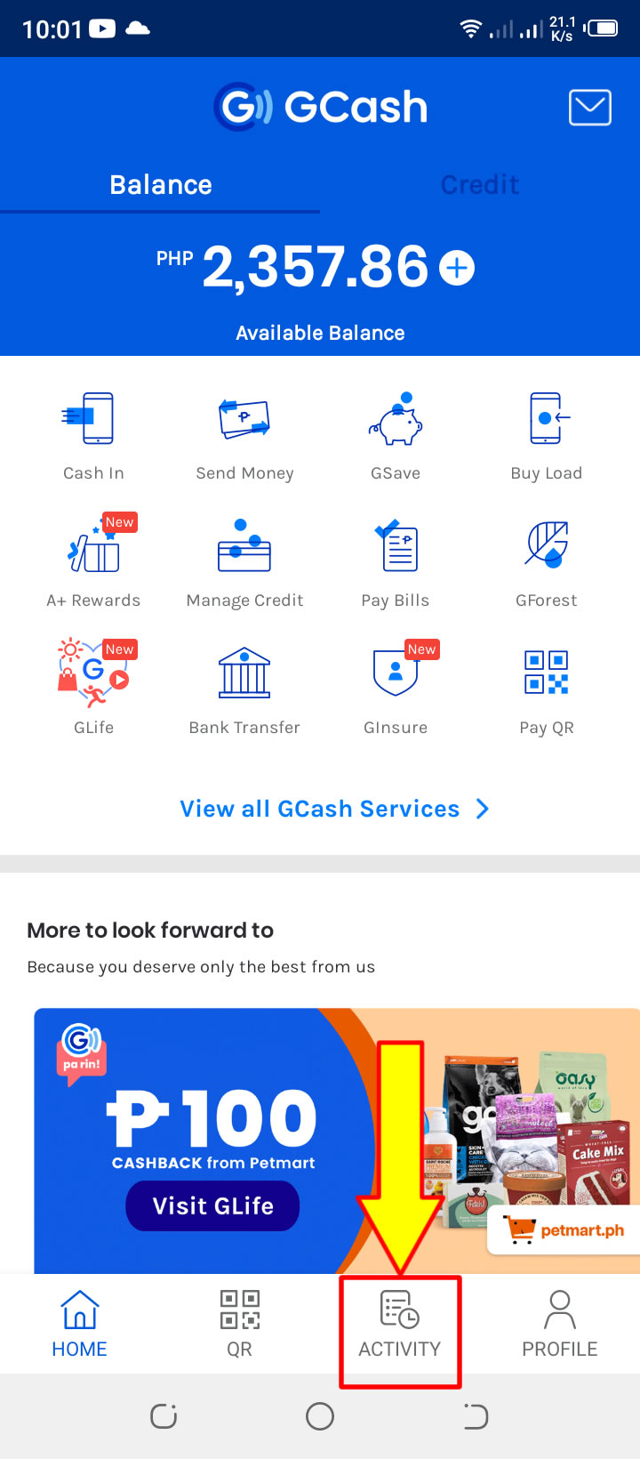 How to see and download your complete/alltime GCash Transaction History