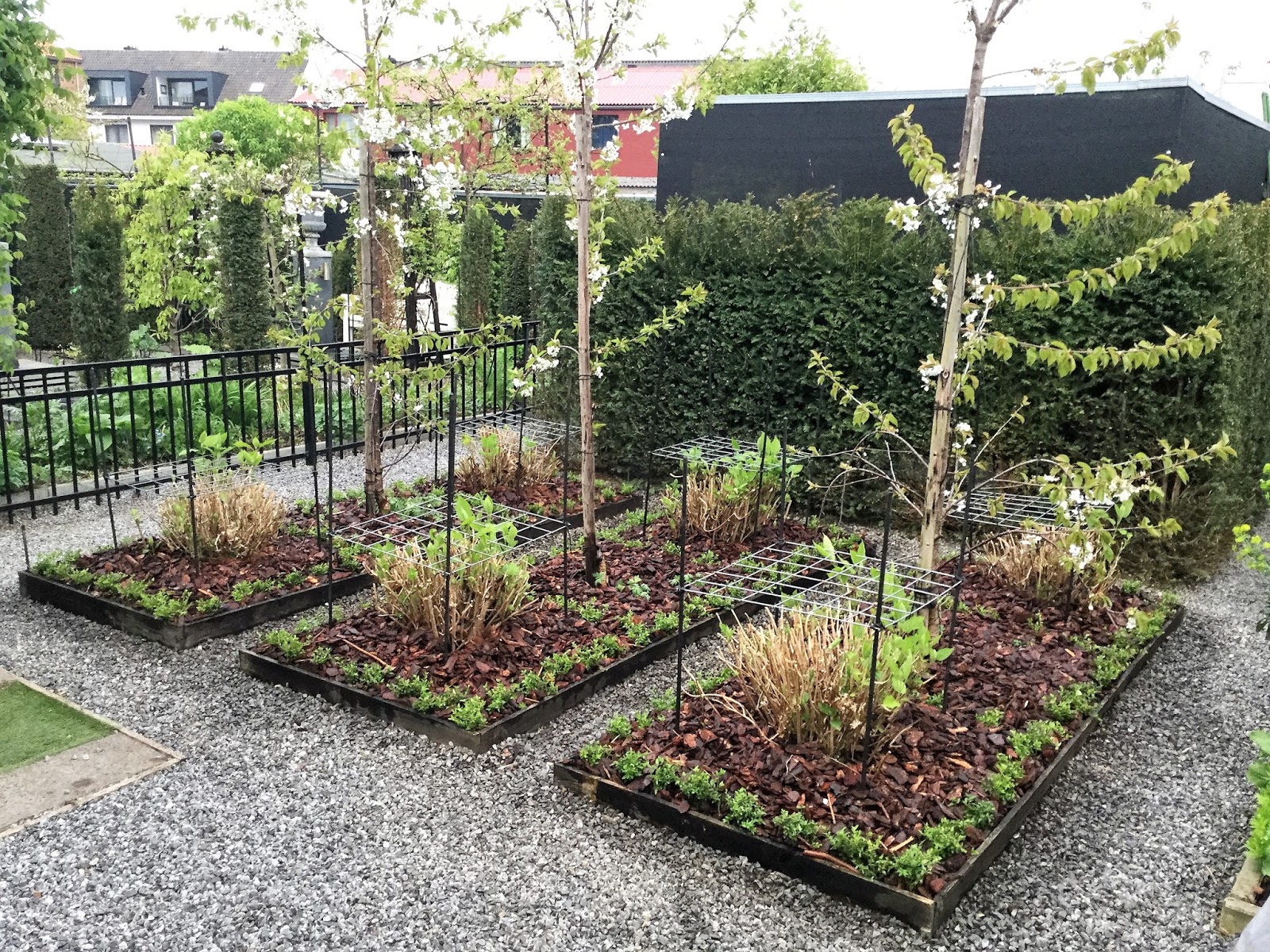 Potagerie in Maastricht 2017 > Aprilnice en tidy