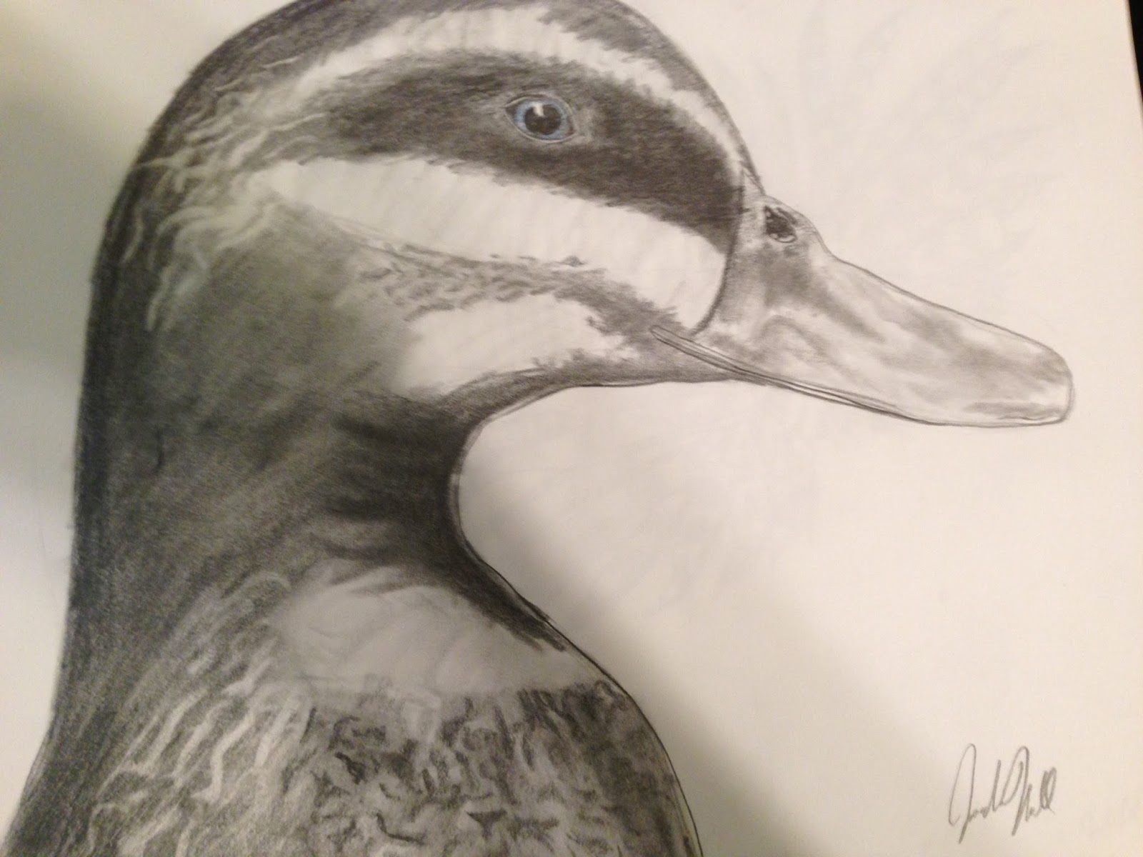 Sketchpad: DUCK!