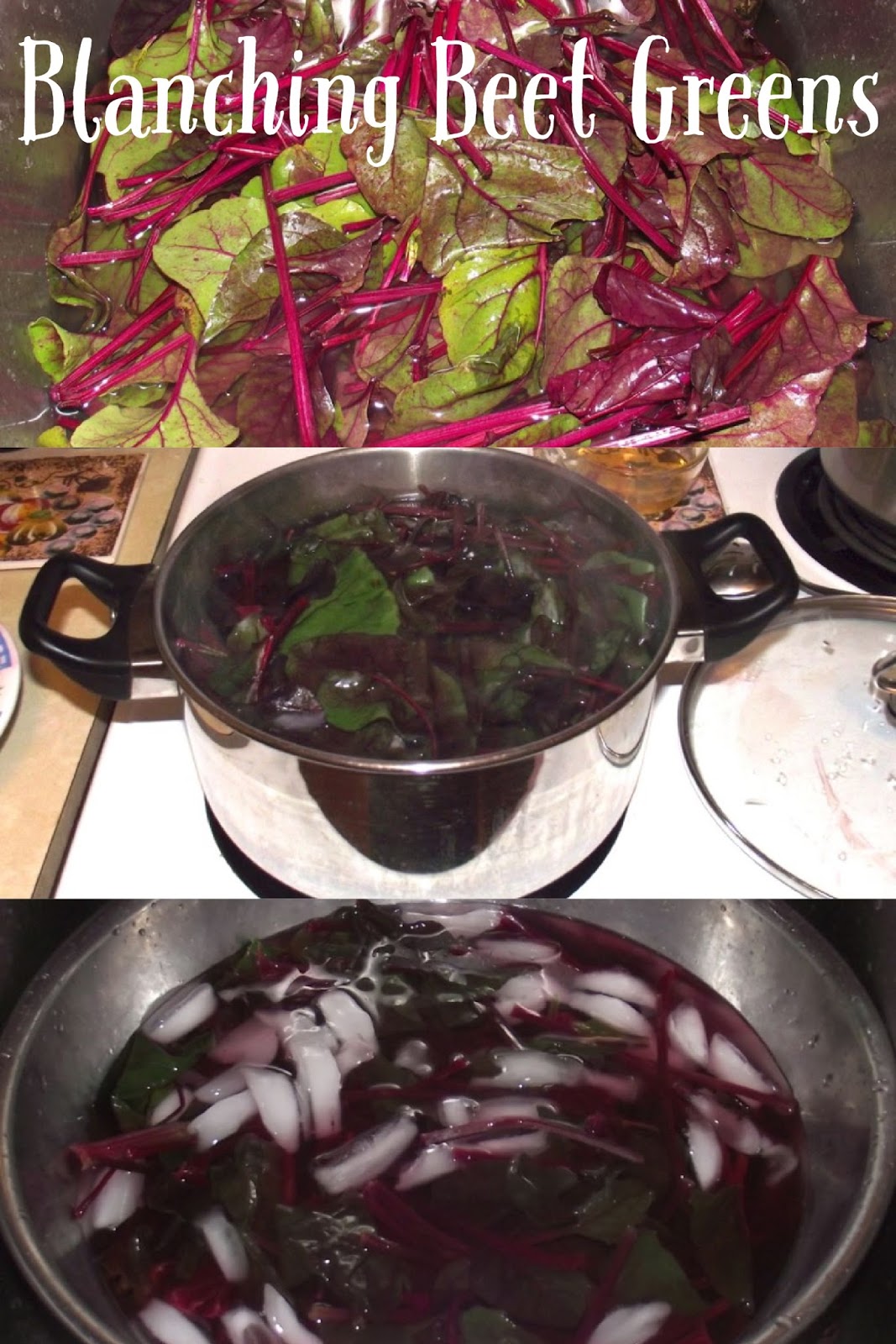 Blanching Beets and Top Greens for Freezing