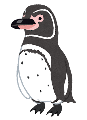 ガラパゴスペンギンのイラスト