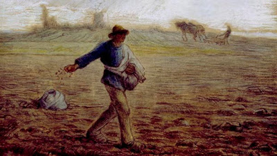 Enrica Signora G La semina