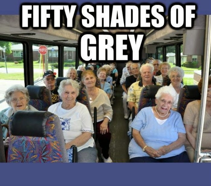 Susan Says... Fifty Shades of Oy Vey