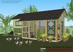 plans chicken coop construction poultry build m200 garden detailed
