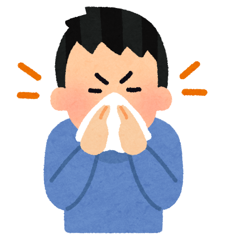 年中鼻水 通年性アレルギー性鼻炎あるある言いたい Kussyon