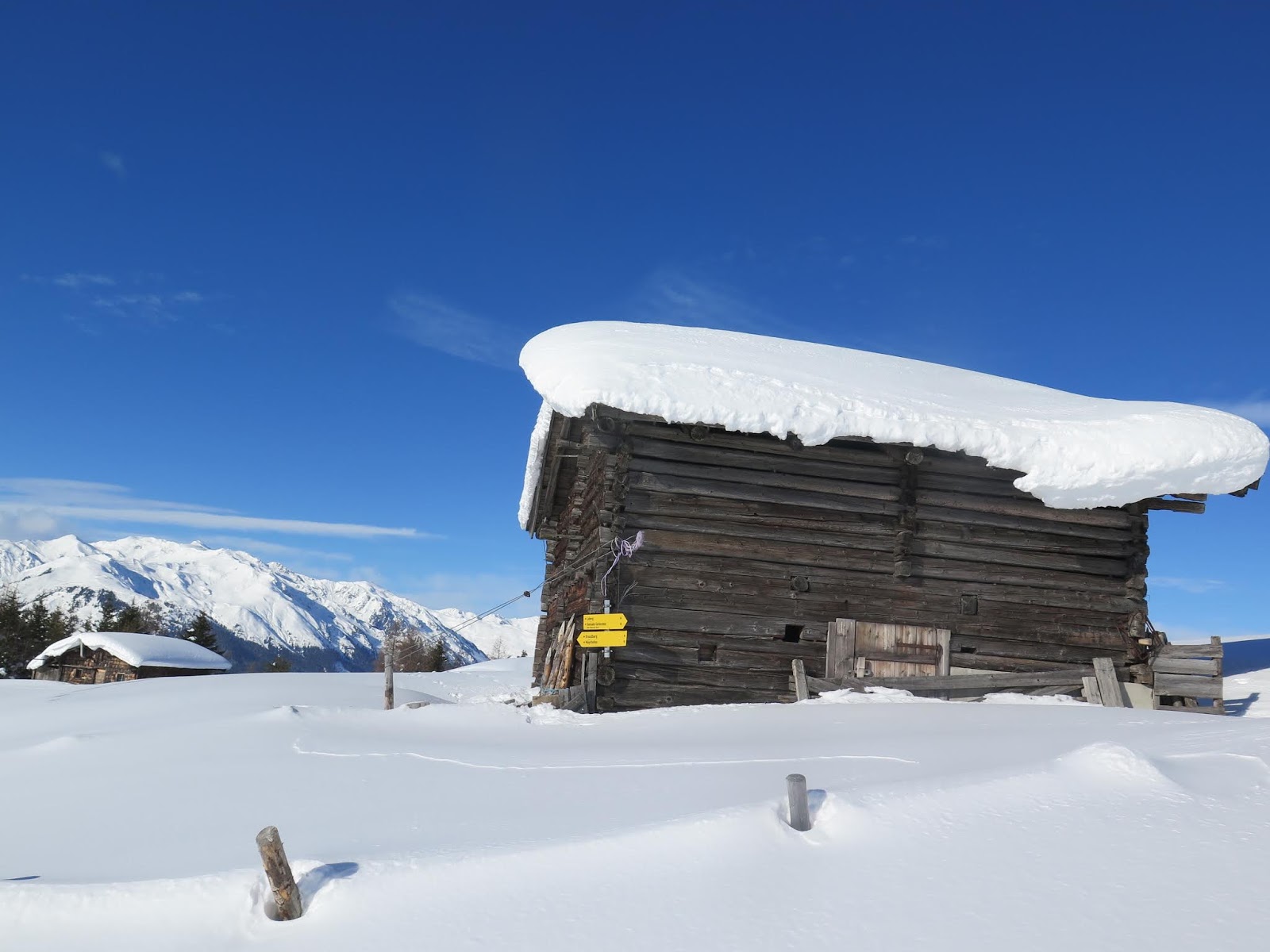 Neuepost Instagram Posts Photos And Videos Picuki Com