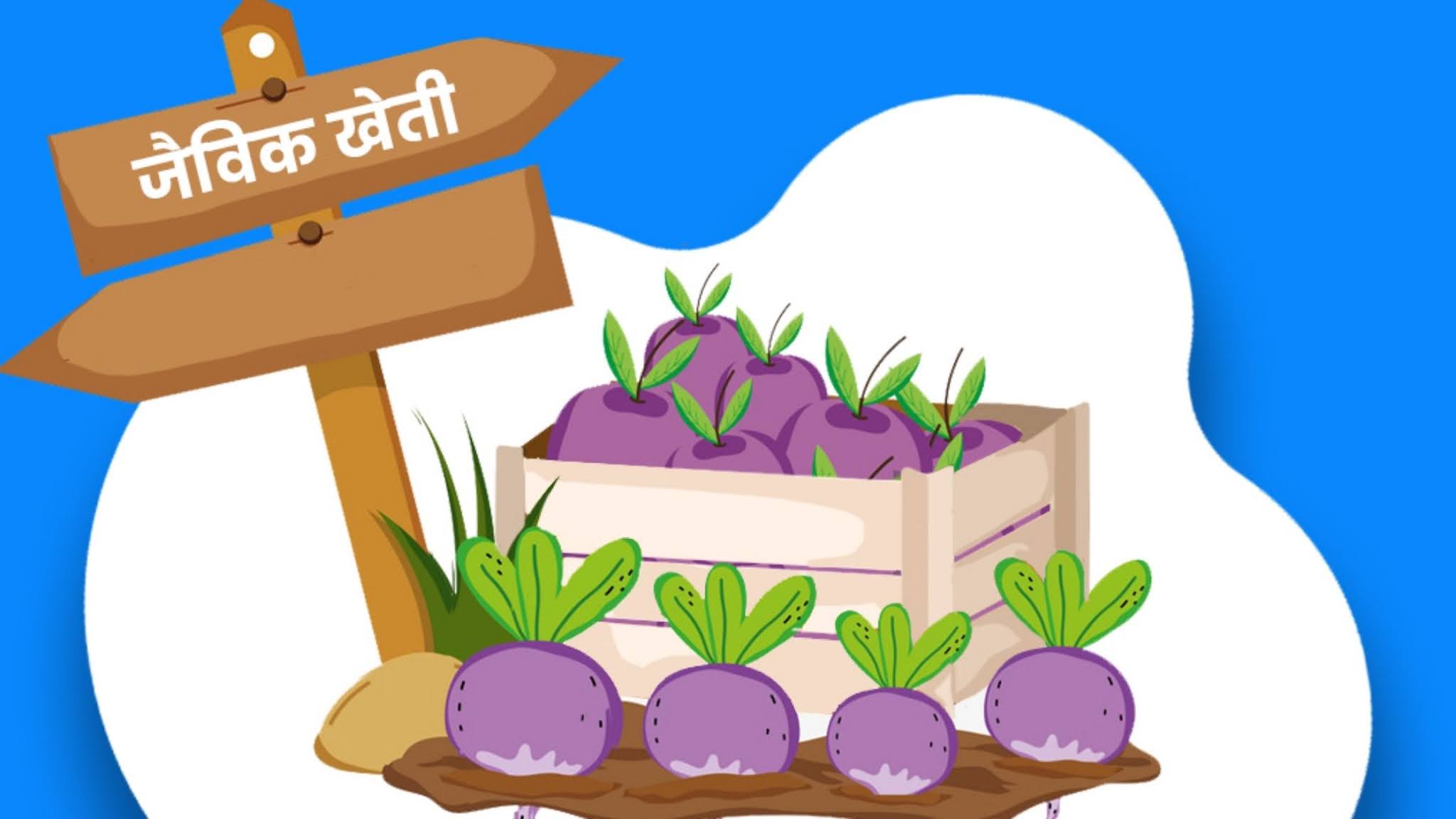 जैविक खेती क्या है? यहां जानें | रासायनिक और जैविक खेती में अंतर - The