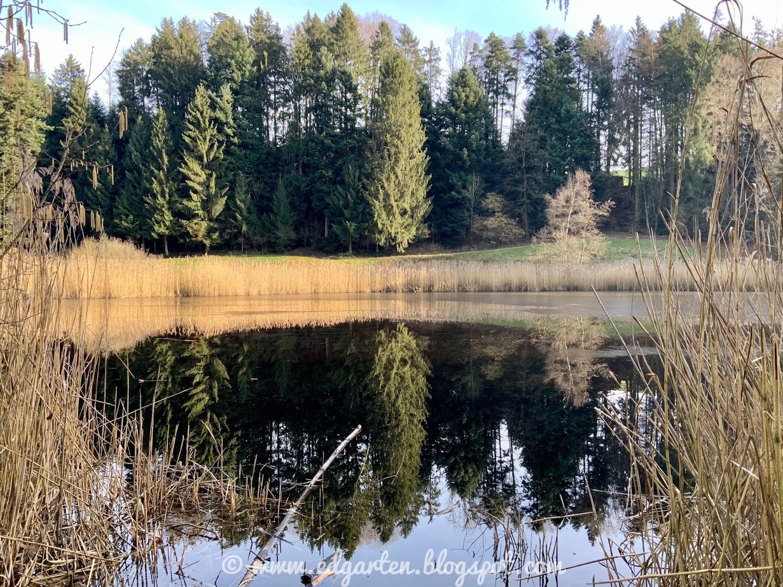 Hilfe Fur Die Corona Station Am Dr Von Haunerschen Kinderspital