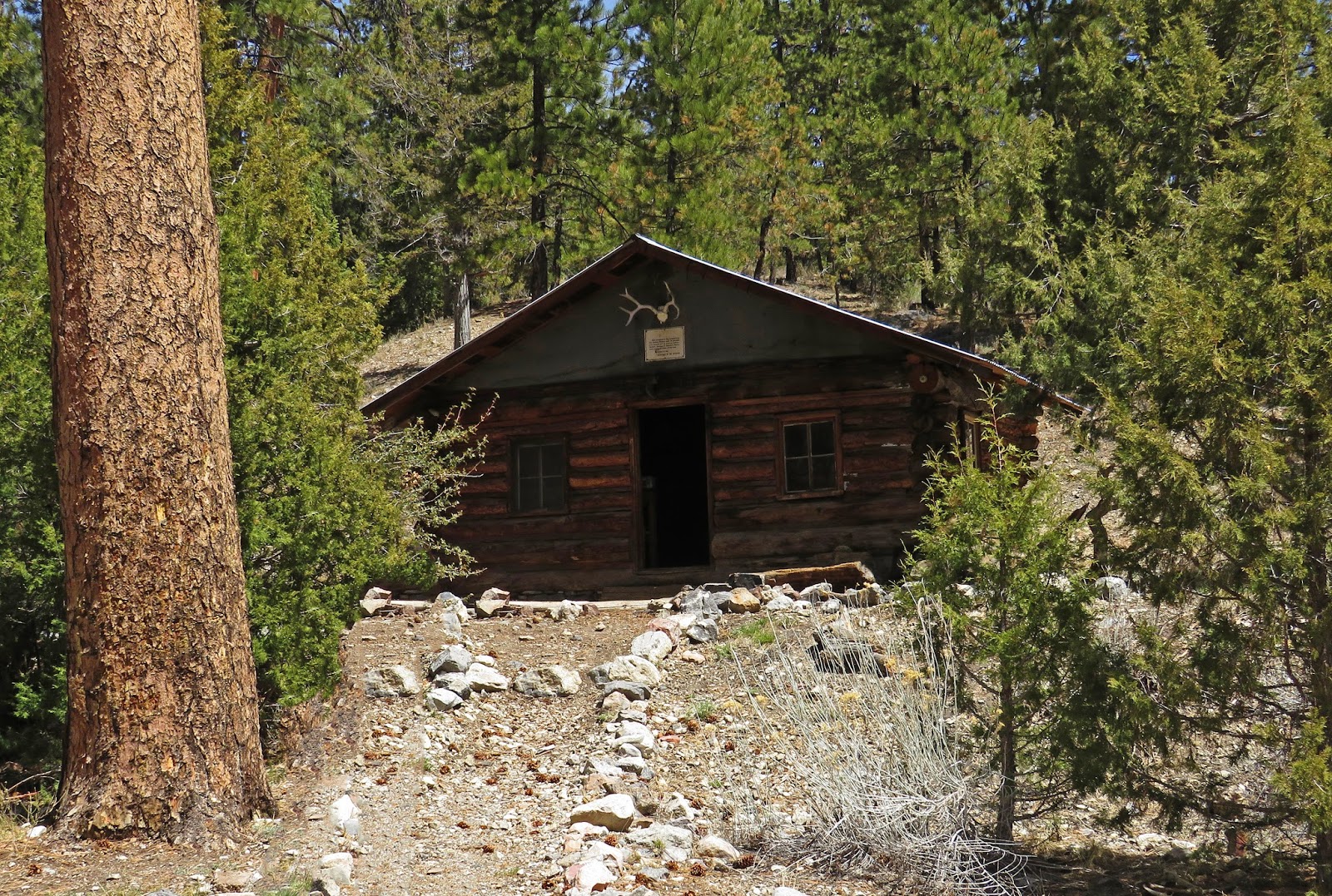 Around The Bend Friends Hidden Forest Cabin Desert National