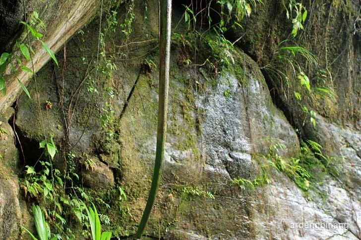 curug cadas ngampar bogor