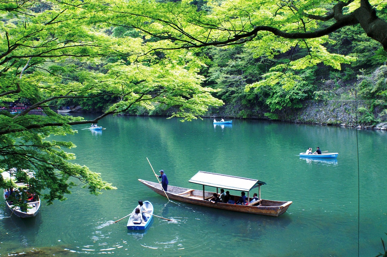 Arashiyama bamboo groves Kyoto, Japan travell and culture