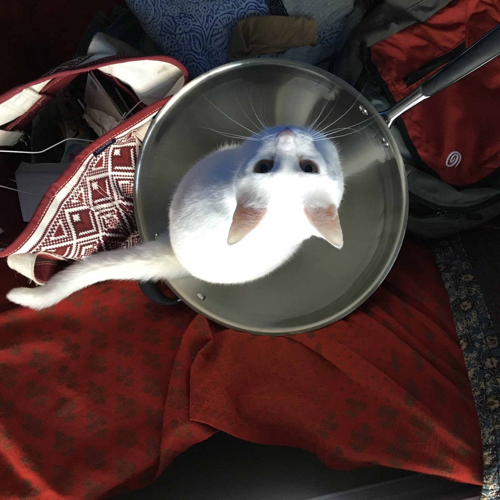 Thesis statement for the oval portrait 07 image