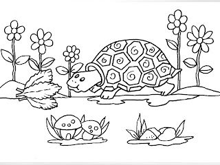 Desenhos Para Pintar A Tartaruga Se Alimentando