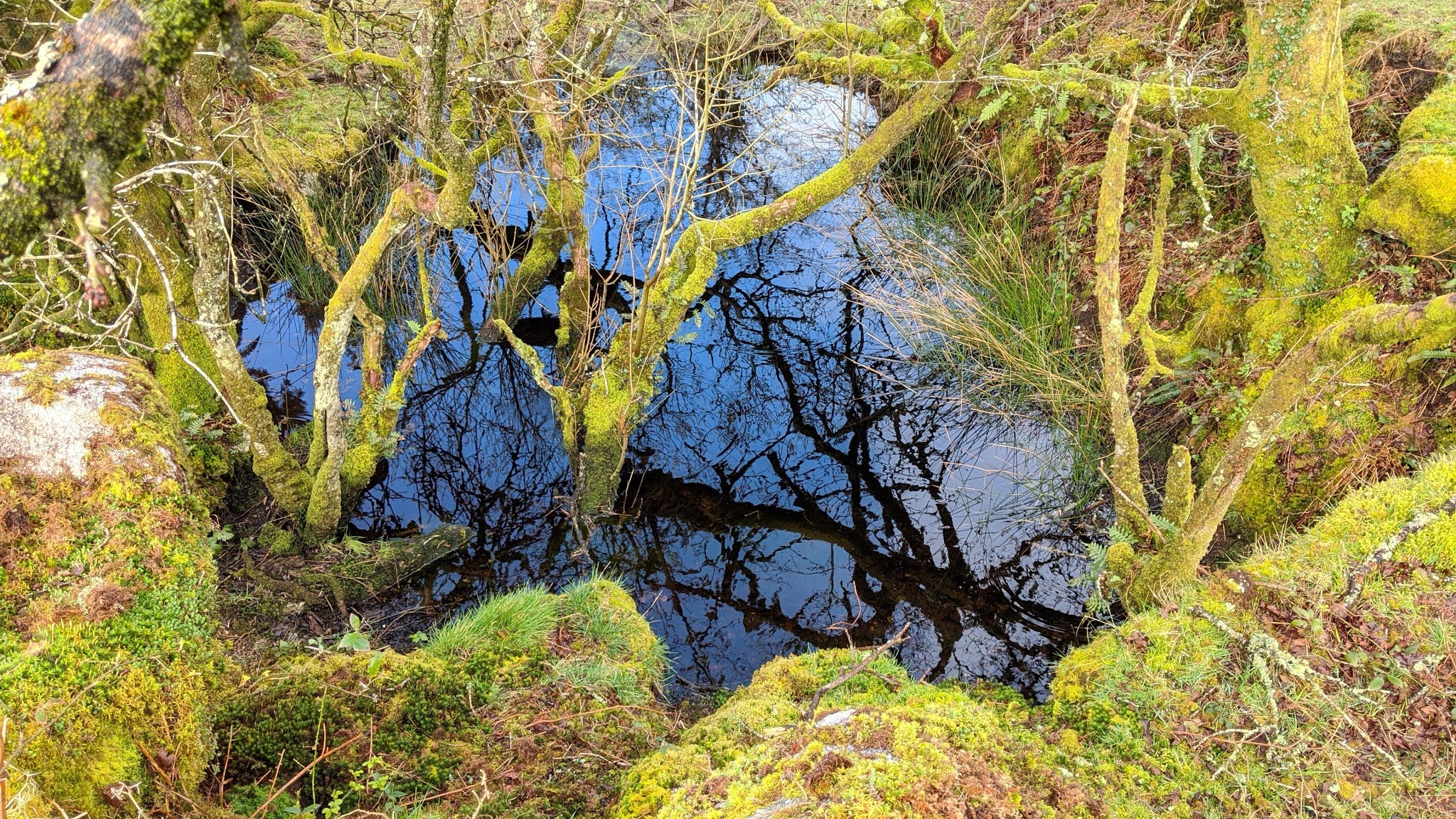 Max Piper Tor Bagger Bodmin Moor De Lank Quarries and St. Breward
