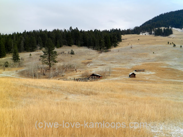 old buildings sit in the fields of a ranch near Pinantan Lake