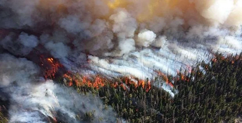 Devastating fires in the Arctic.