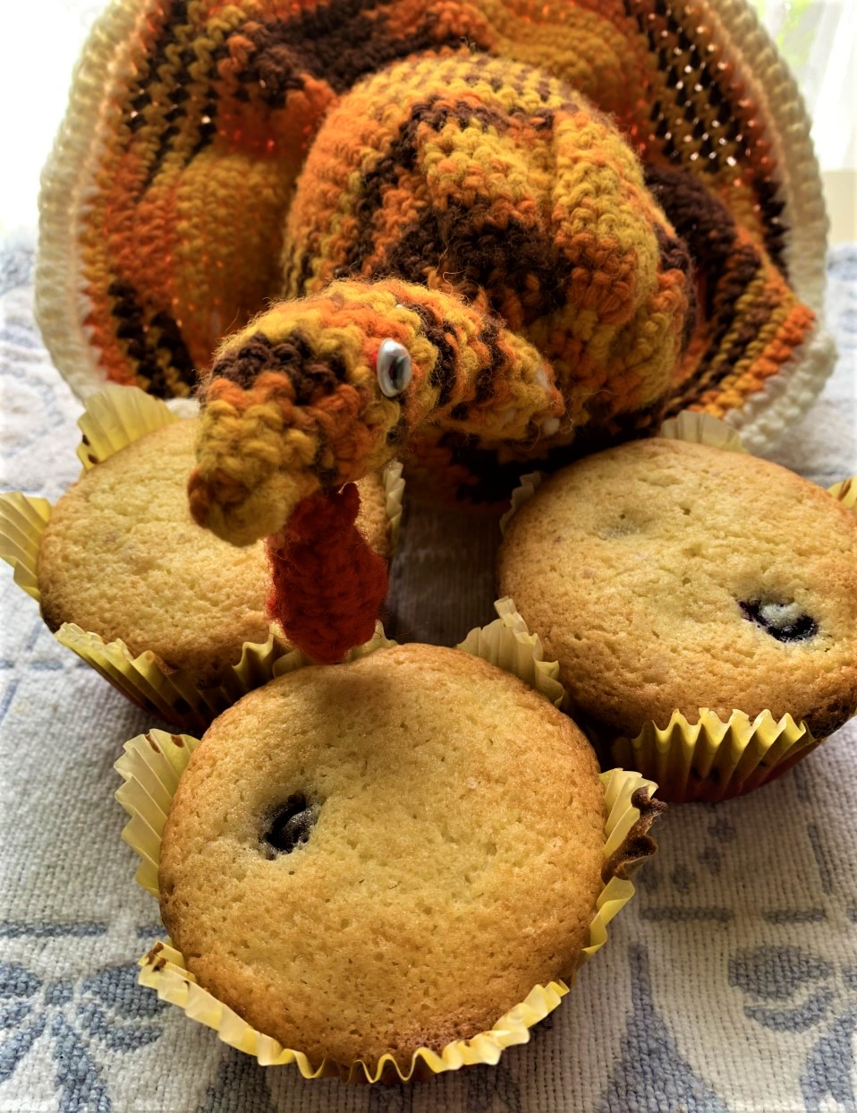 Best of Long Island and Central Florida LEMON BLUEBERRY TEXAS SIZED