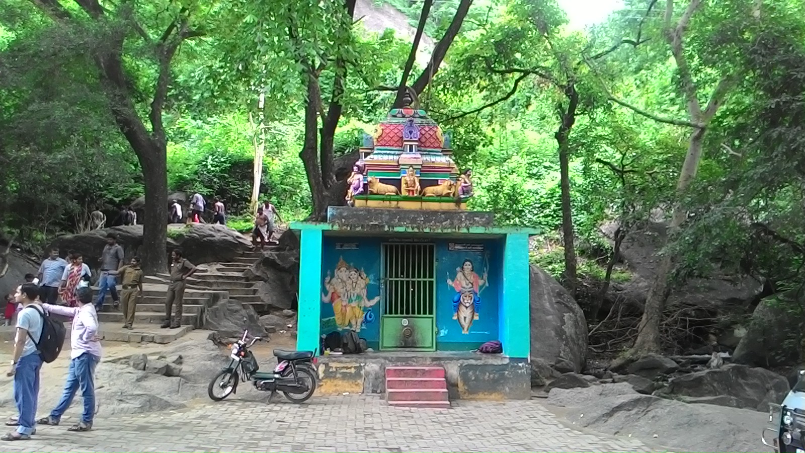 Sugavanam Face Book Pages Plant a Mango Tree or Water a Mango Tree on