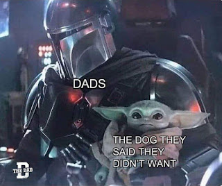 Baby Yoda Meme by @subtleasiantraits on Instagram
