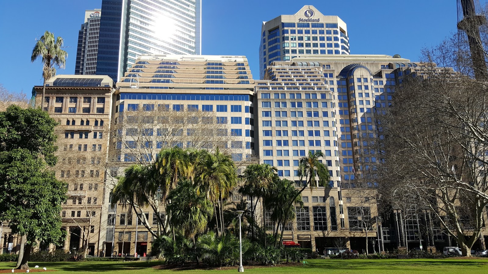 Sydney City and Suburbs Hyde Park, Elizabeth Street