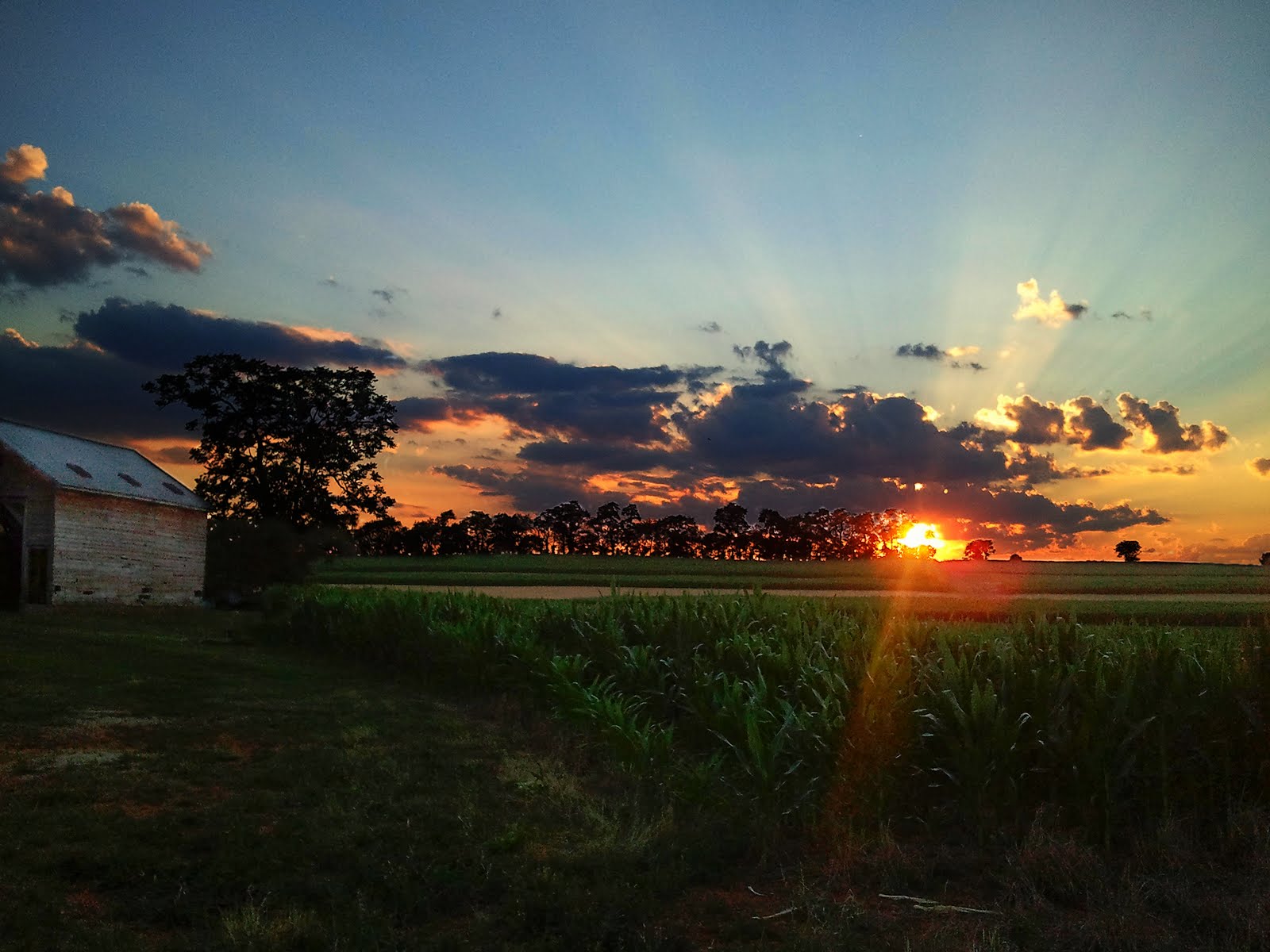 The Redneck Rant Awesome Sunset Last Night the-redneck-rant-awesome-sunset-last-night