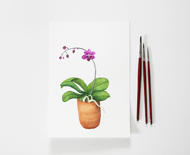 watercolor, watercolor orchid, orchids, Anne Butera, My Giant Strawberry