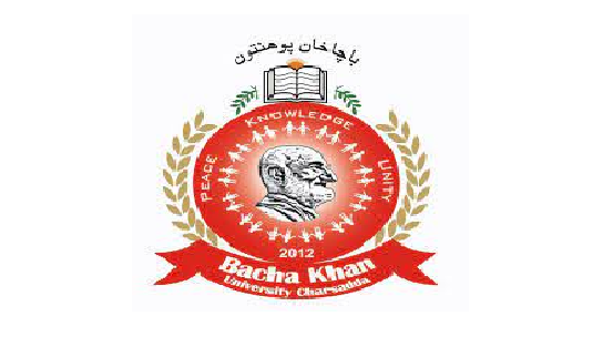 Jobs in Bacha Khan University