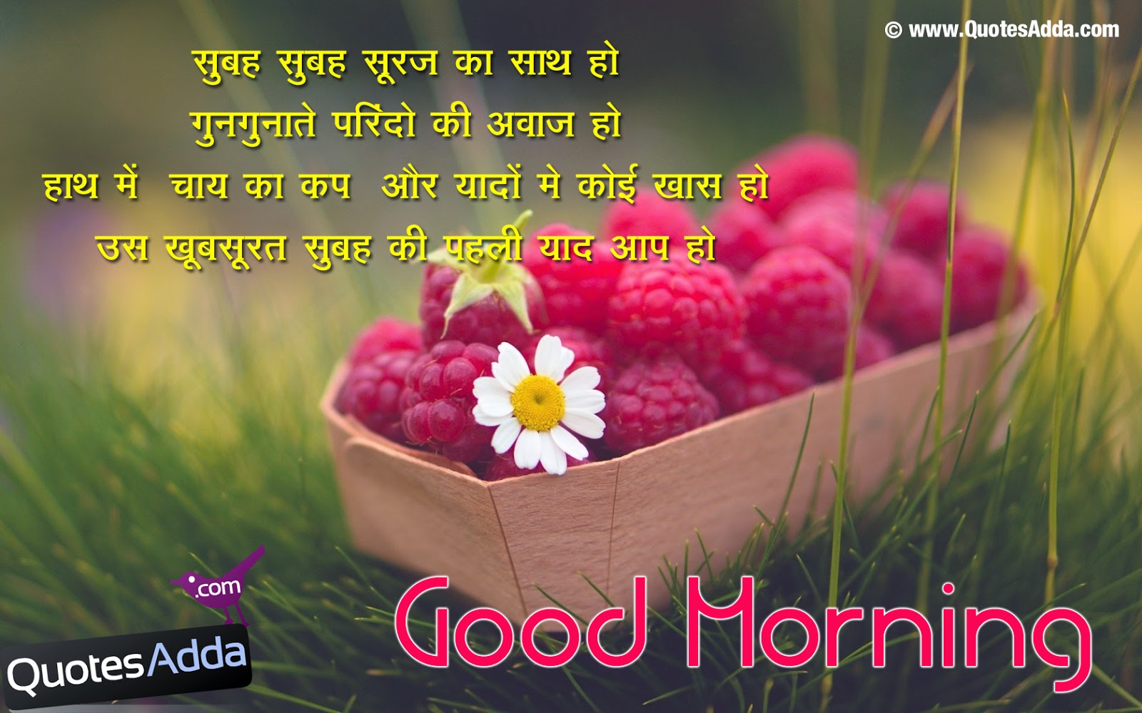 Funny Funny Good Morning Messages For Friends In Hindi funny funny good morning messages for
