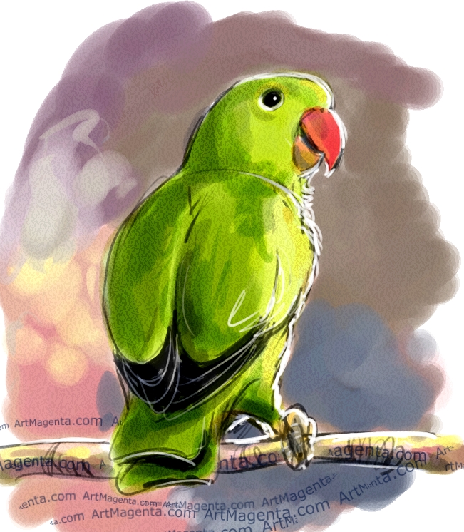 Black-winged Lovebird sketch painting. Bird art drawing by illustrator Artmagenta.