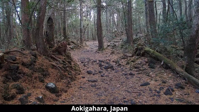 Aokigahara, Japan Haunted Places in World