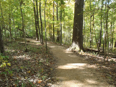 Tulip Tree Trail, Crystal Bridges Museum Trail Bentonville Arkansas
