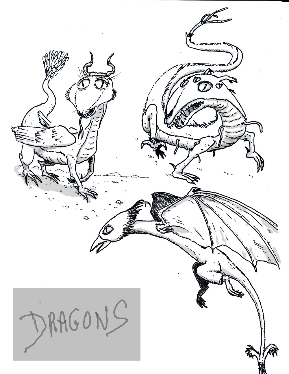 dessin de stefrex - Page 4 Dragon0003net