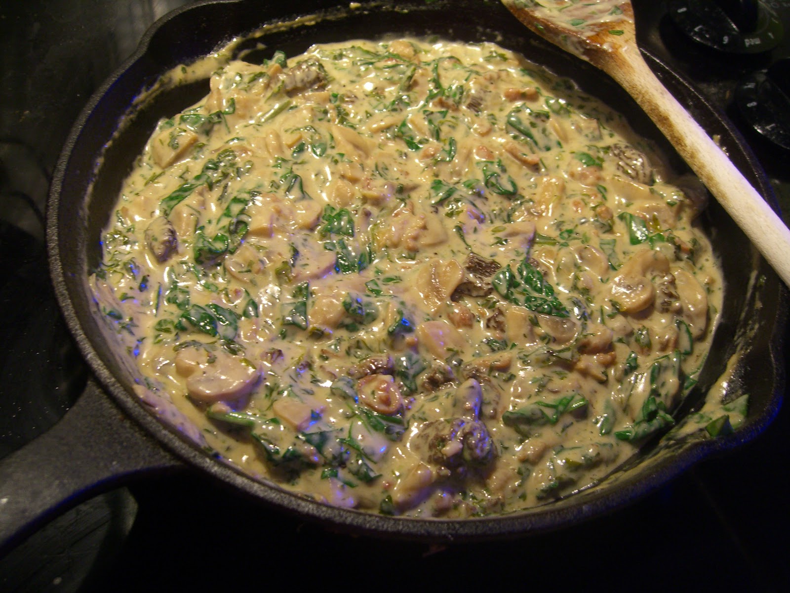 Simple Pleasures Morel Mushroom Cream Sauce