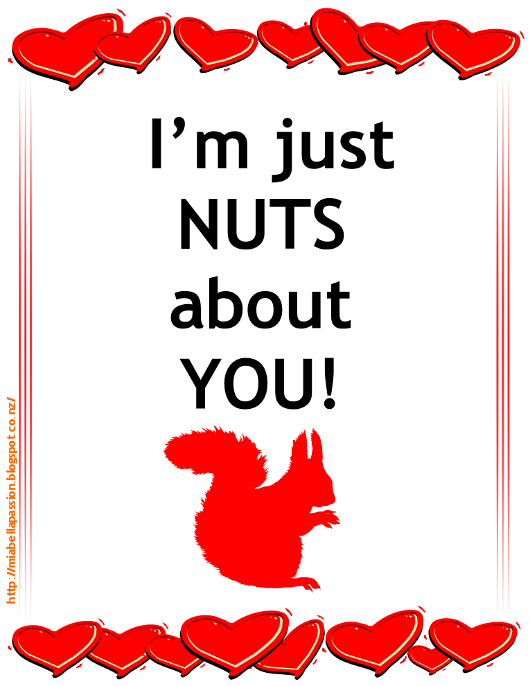 Mia Bella Passions 'NUTS about YOU' Valentine Gift Idea.