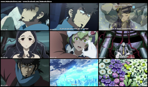 Dimension W 12