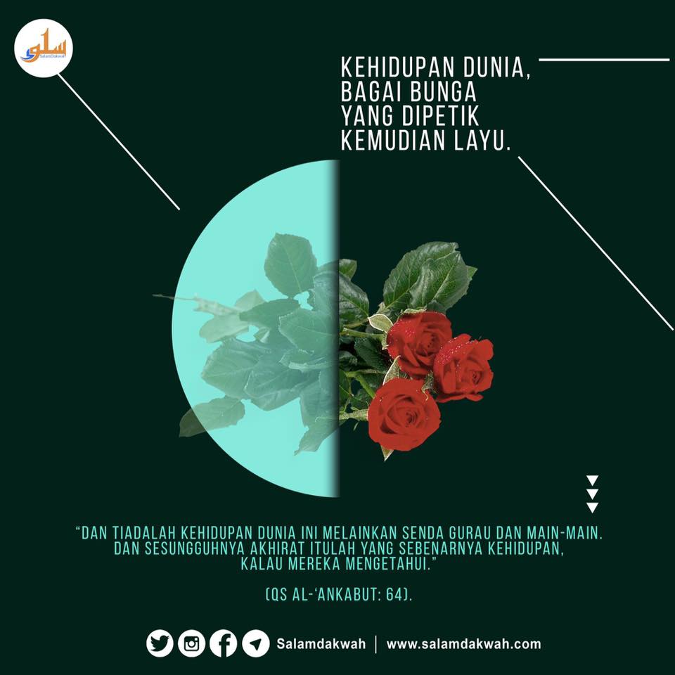87+ Gambar Bunga Yg Layu Paling Mekar 87+ Gambar Bunga Yg Layu Paling Mekar