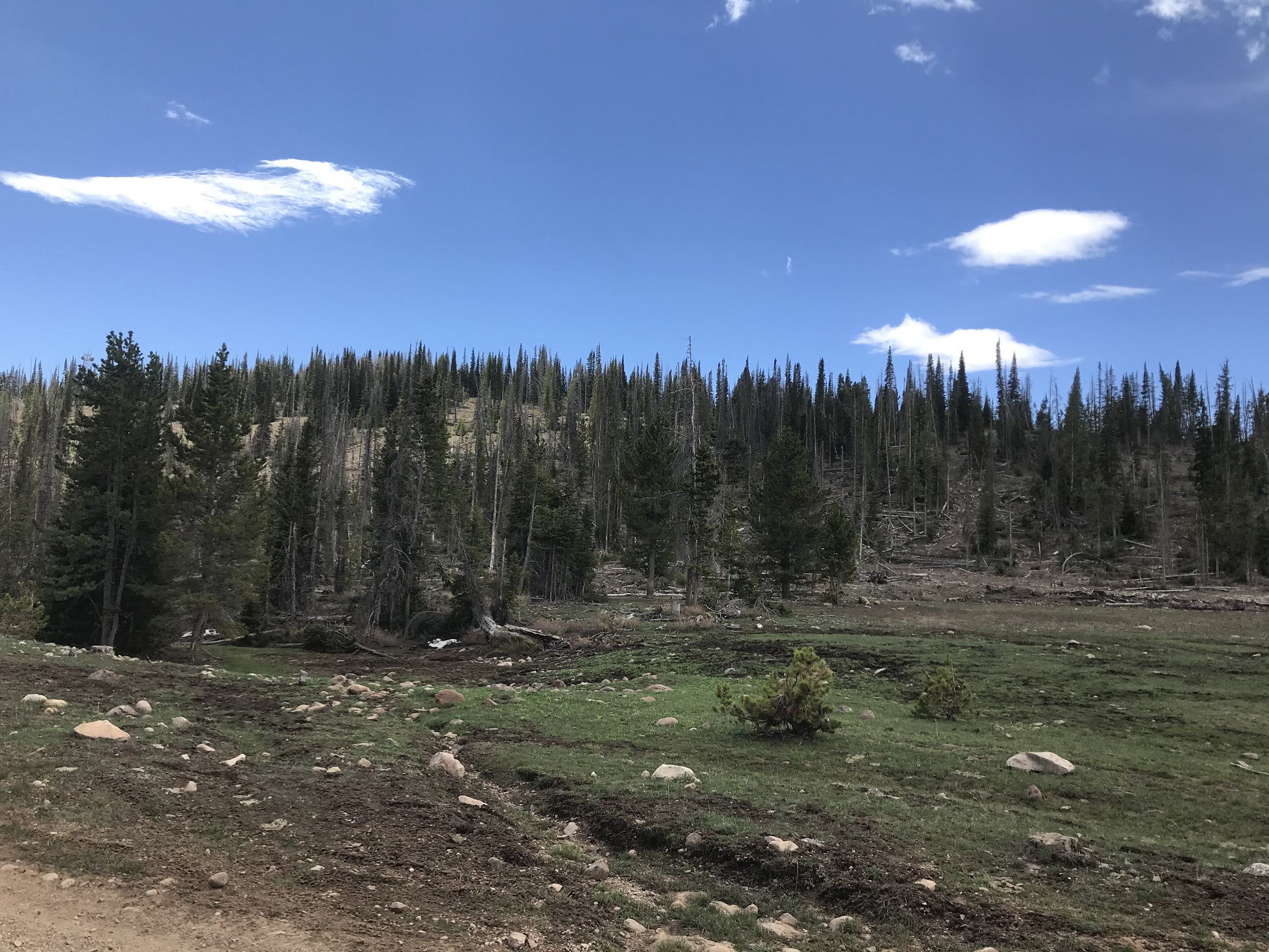 Phaedra's Adventures Memorial Day Weekend 2021