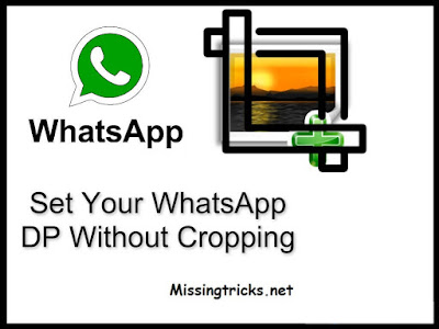 How to set a full profile picture or DP without cropping on WhatsApp or Facebook?