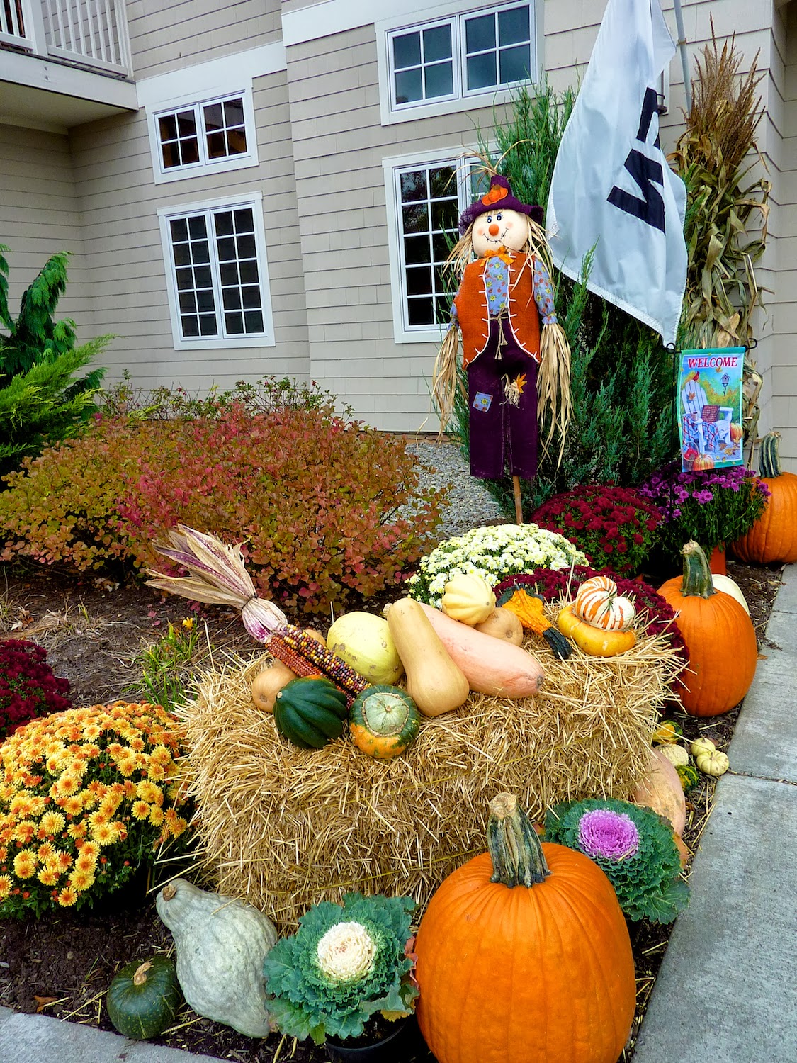 Halloween, el reino de la calabaza El Guisante Verde Project Blog