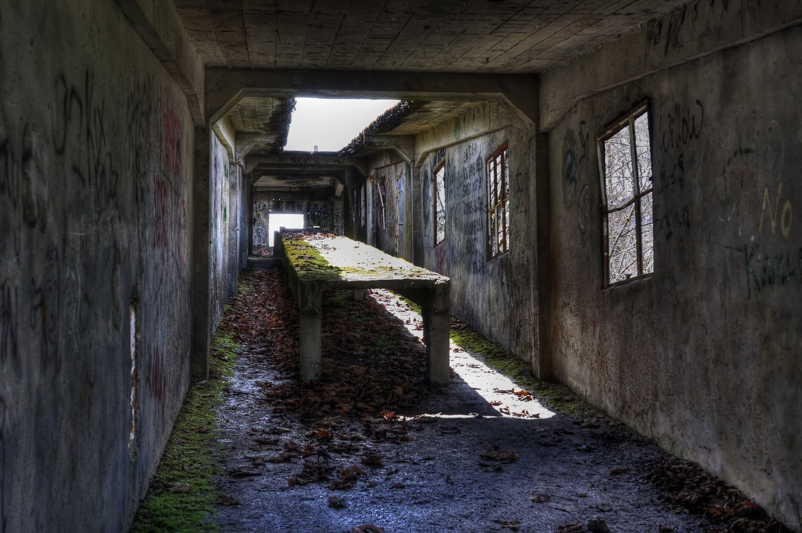 This Life in Ruins the tunnel at the cement factory in concrete, wa