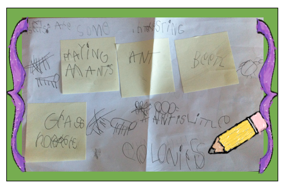 Primary Pointe.: Kindergarten INSECT research! Come and get a template!