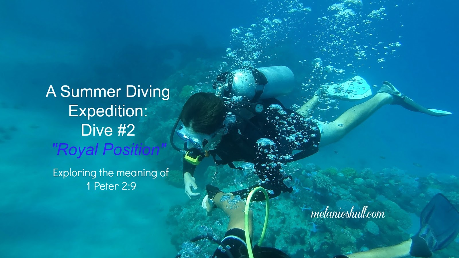 Summer Diving Expedition Royal Position (Dive 2)