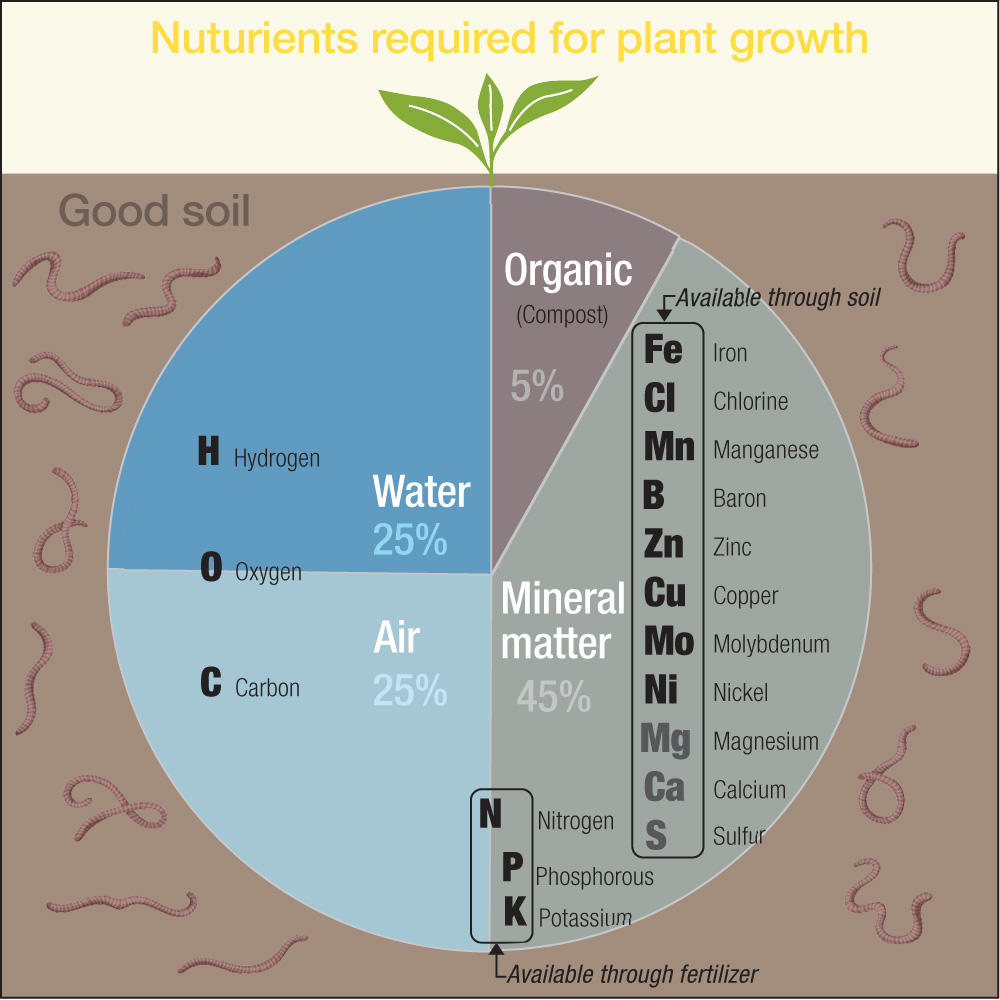 Illustrator in Paris: Healthy soil
