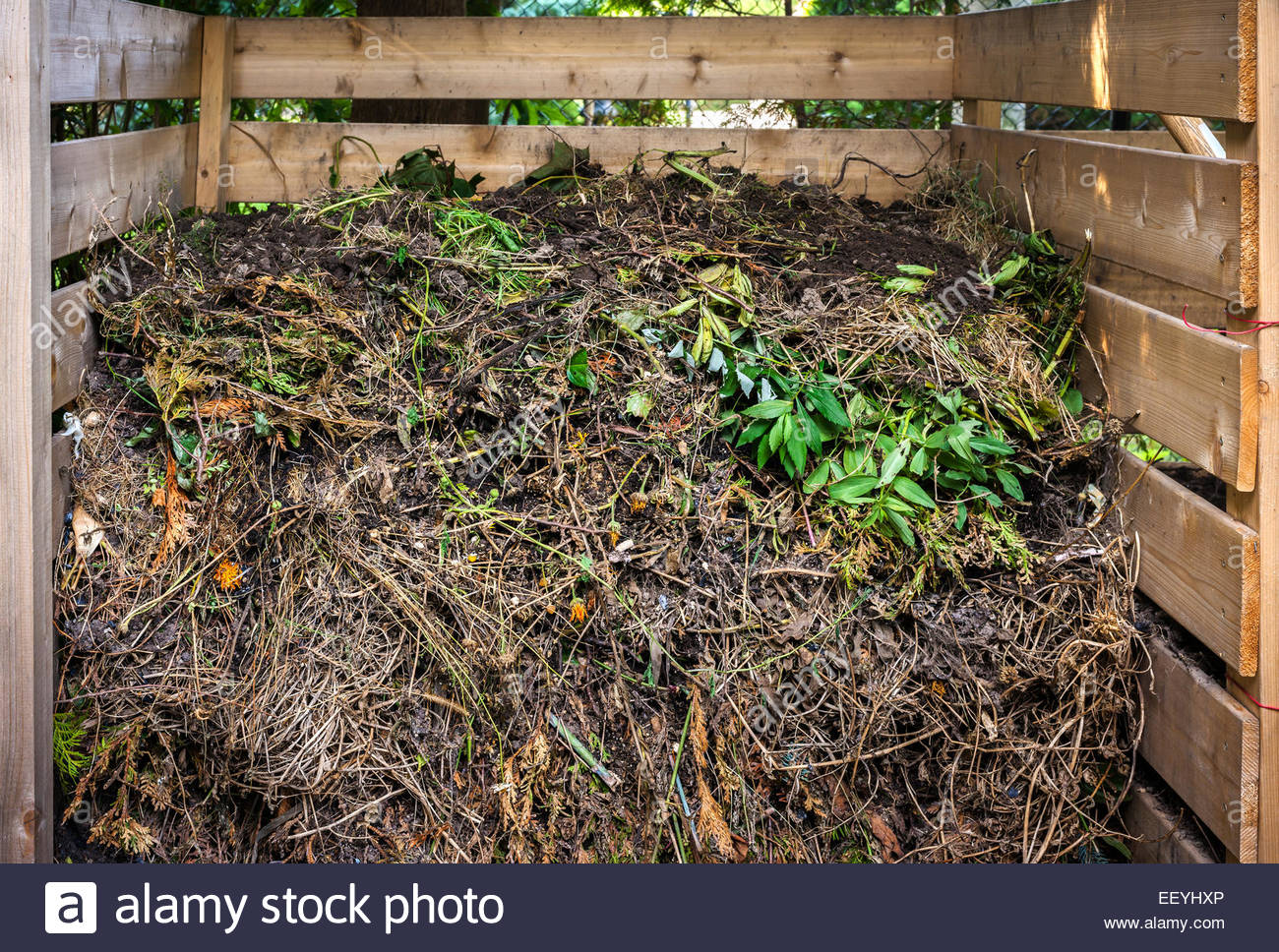 Waste management What Is The Science Behind Composting?